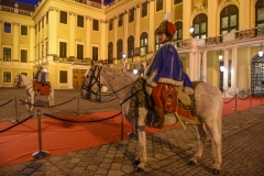 02.Austria Imperialis (52 von 444)