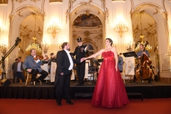 Austria Imperialis (273 von 444)