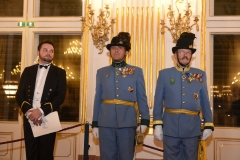 Austria Imperialis (296 von 444)