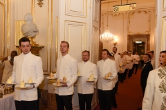 Austria Imperialis (440 von 444)
